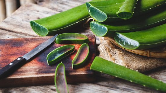 Aloe Vera For Skin During Pregnancy1