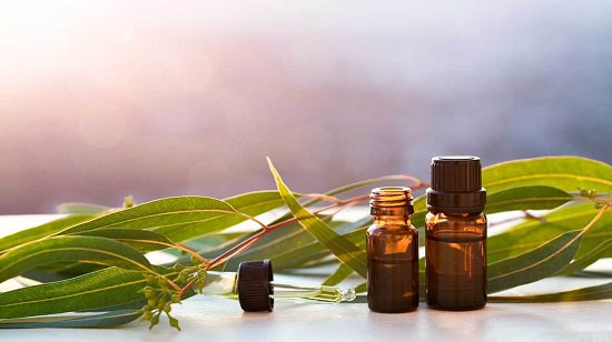 Benefits of Eucalyptus Oil For Hair And Skin3