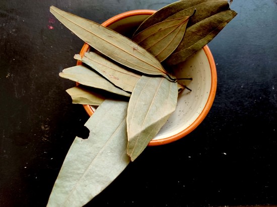 Do Bay Leaves Repel Mice3