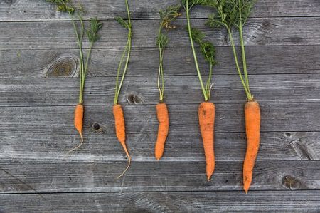 Carrot and Lemon Juice for Skin1