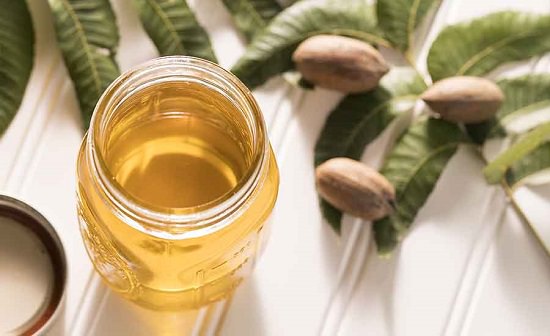 Pecan Oil Benefits1