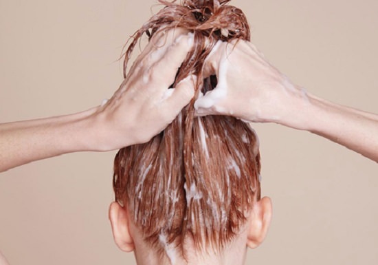 Castor Oil, Honey and Eggs for Hair Health2